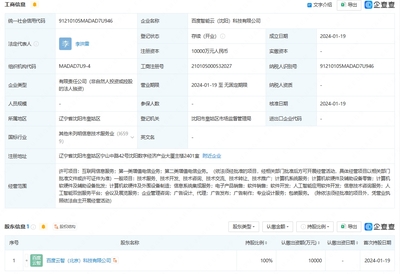 智能云沈陽新公司成立，注冊資本1億布局計算機系統(tǒng)服務